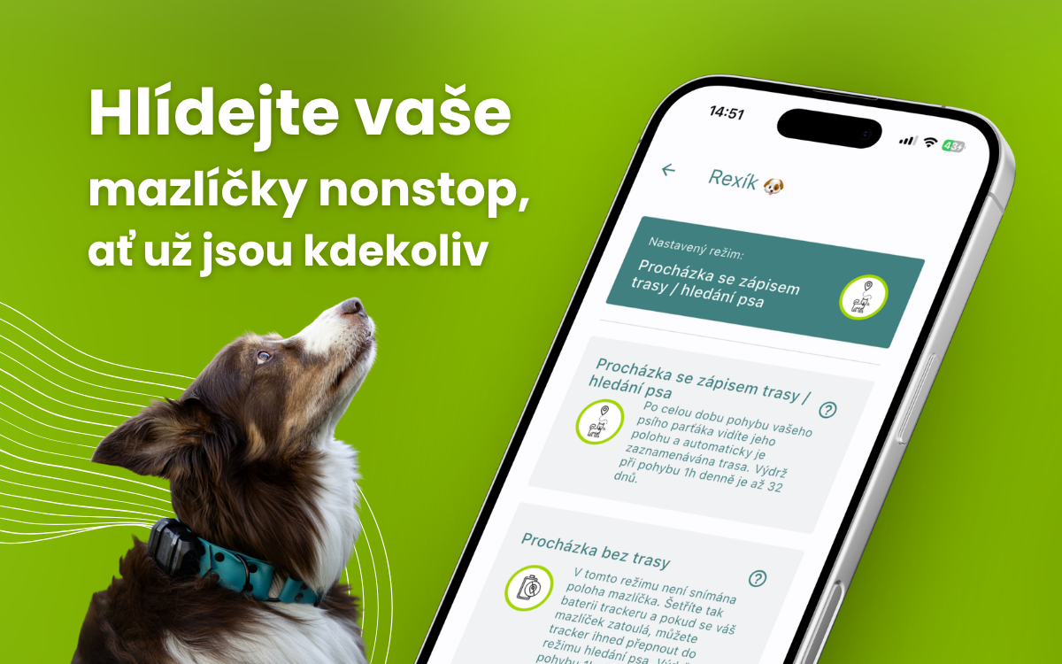 Hlídejte mazlíčky nonstop