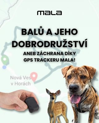 GPS tracker Mala – zachránce vašich čtyřnohých miláčků 🐾 Co dělat, když se vám ztratí pes? 🐕‍🦺 Místo paniky sáhněte po...